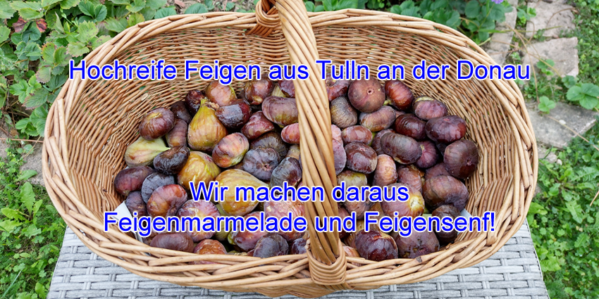 Tullner Feigen